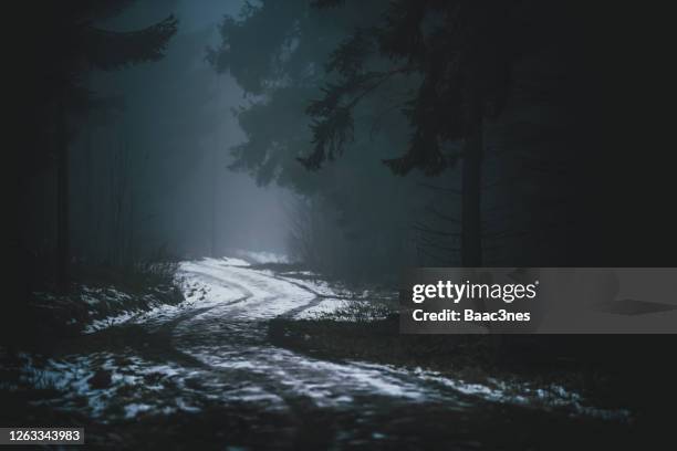 dirt road in the forest - skandinavien stock-fotos und bilder