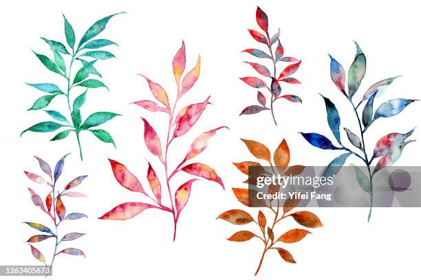 watercolour illustration of colourful leaves - autumn bouquet stock pictures, royalty-free photos & images