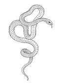 Hand drawn twisted snake isolated on blank backgroun