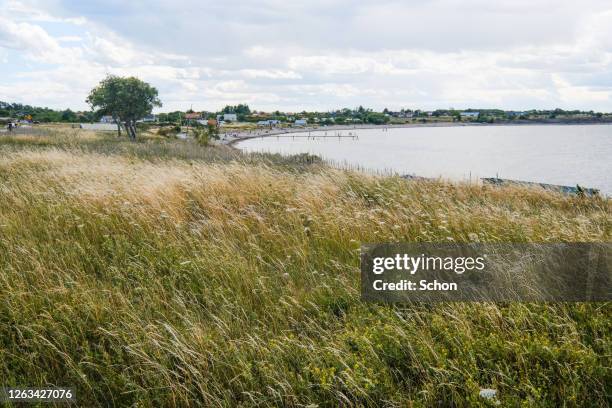 views of the beach at djupvik in summer in daylight - oland stock-fotos und bilder