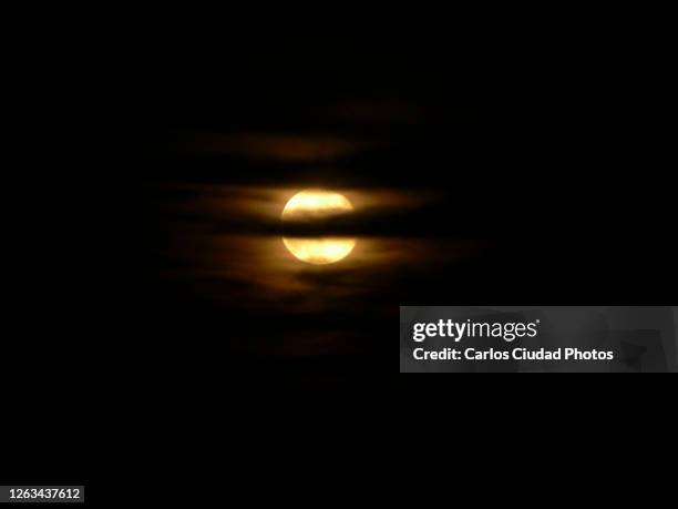 yellow moon behind clouds - werewolf stock-fotos und bilder