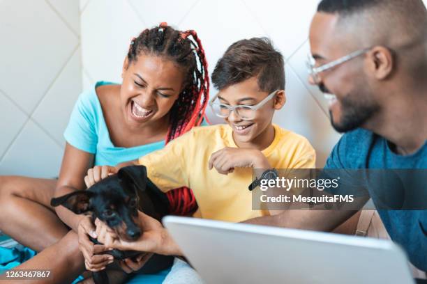 family having fun with their pet - family wearing glasses stock pictures, royalty-free photos & images