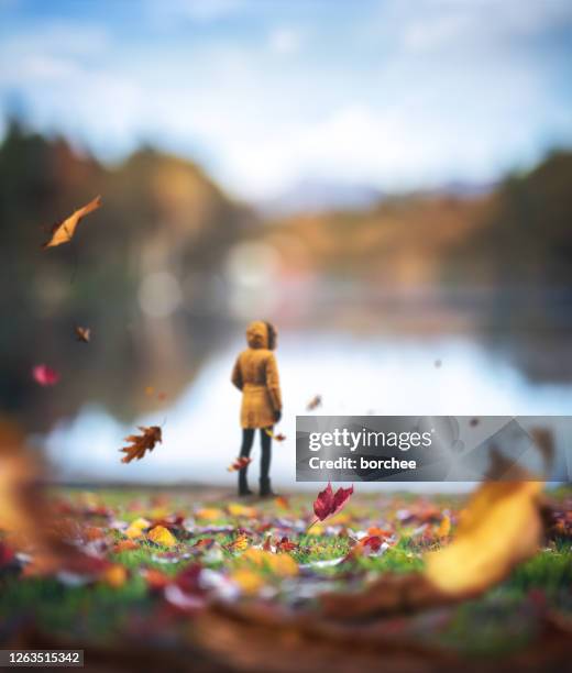 Fall Loneliness 15,449 Autumn Loneliness Stock Photos, High-Res Pictures, and Images ...