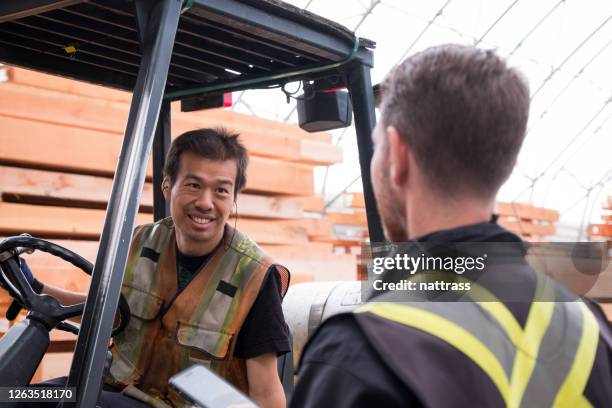 men working in a large industrial timber factory - logging mill stock pictures, royalty-free photos & images