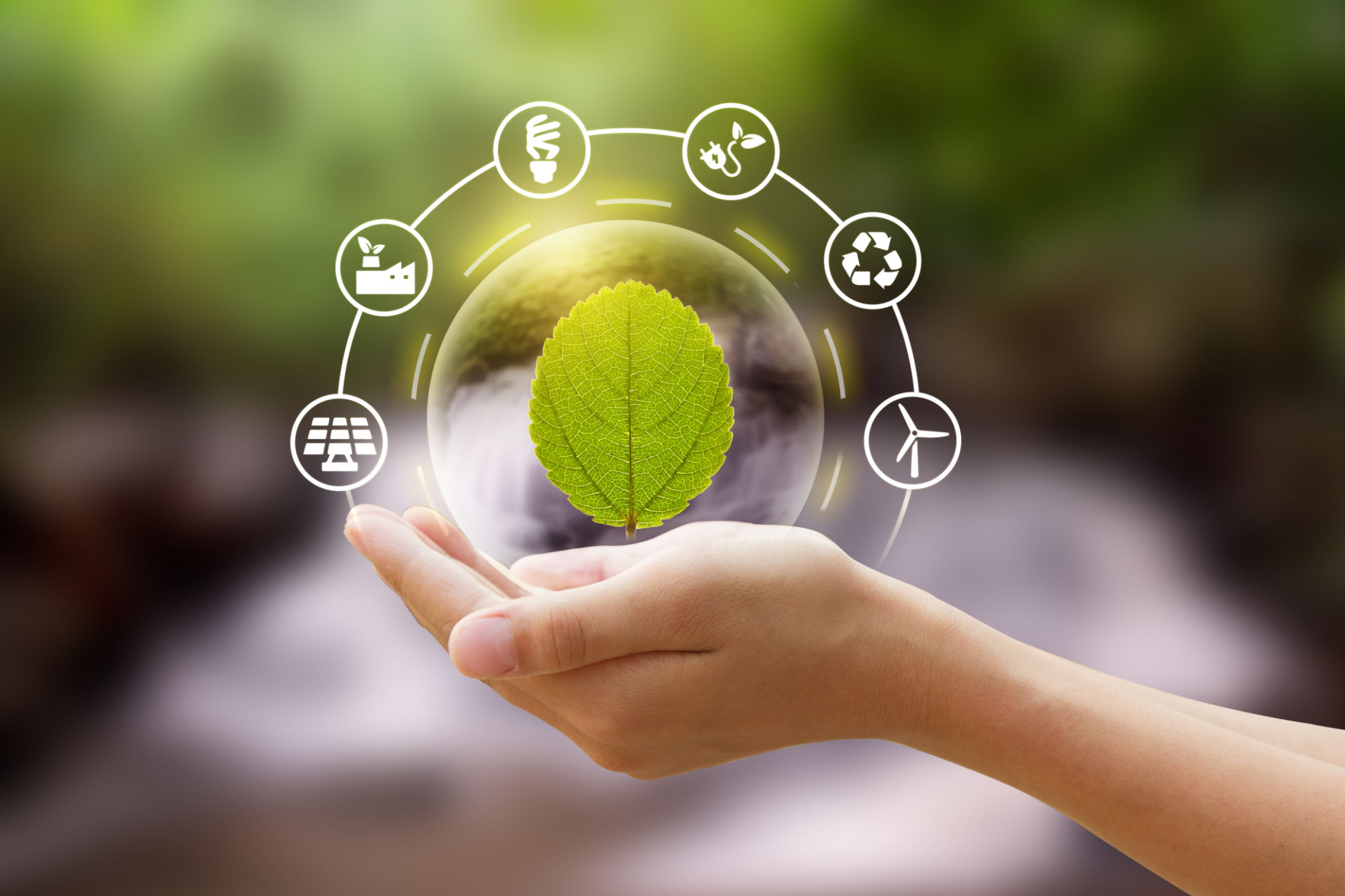 waste management solutions
