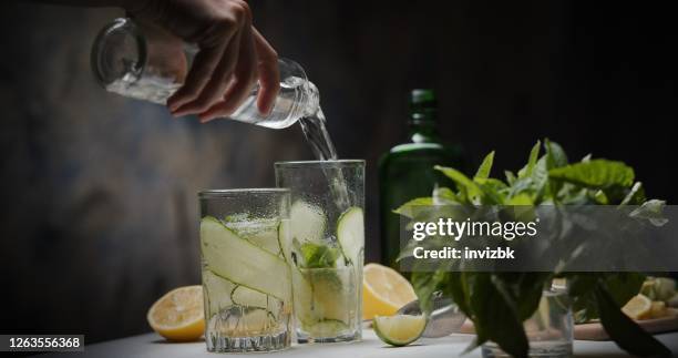 komkommer, munt en basilicum gin tonic - gin and tonic stockfoto's en -beelden