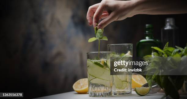 cucumber, mint and basil gin tonic - gin and tonic stock pictures, royalty-free photos & images