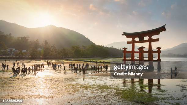 宮島厳島鳥居の夕暮れ時パノラマ - 厳島神社 ストックフォトと画像