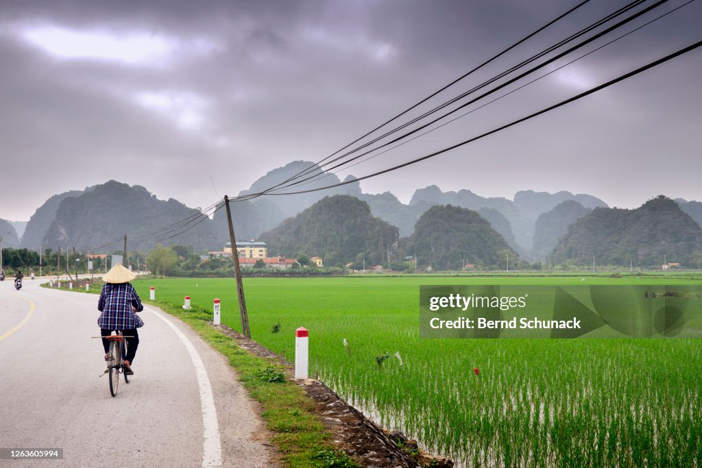 Road along rice fields towards the karst rocks of Tam Coc, Ninh Binh
