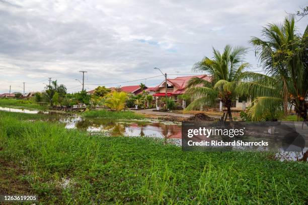 paramaribo suburbs, suriname - paramaribo stock-fotos und bilder