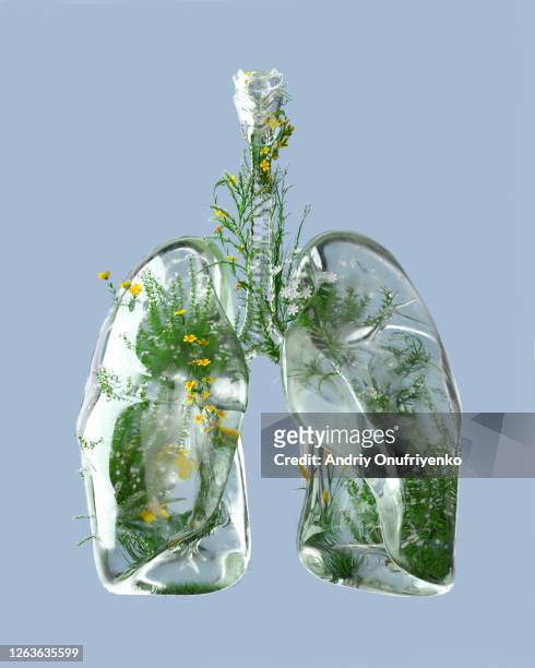 green lungs - medical concept photos et images de collection