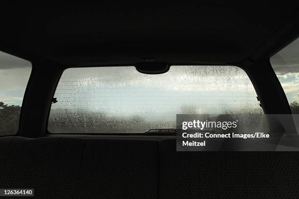 rain on rear windshield of car - car copy space stock pictures, royalty-free photos & images