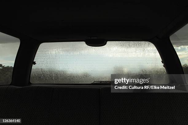 rain on rear windshield of car - backseat bildbanksfoton och bilder