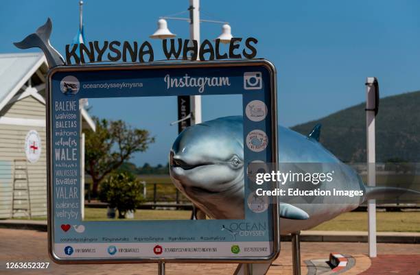 Knysna, Western Cape, South Africa, A tourist large photo frame and a whale ready for tourists to pose and be photographed.