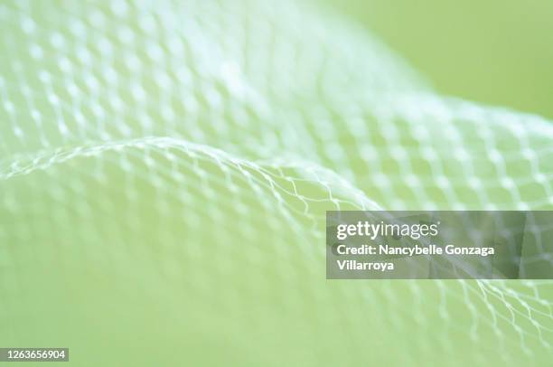 light and dreamy light green and white netting - rede têxtil imagens e fotografias de stock