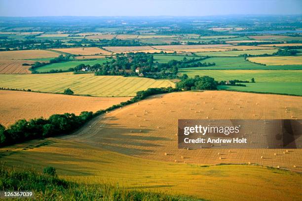 an ariel view of the village of firle and the surrounding agricultural landscape. - sussex stock pictures, royalty-free photos & images