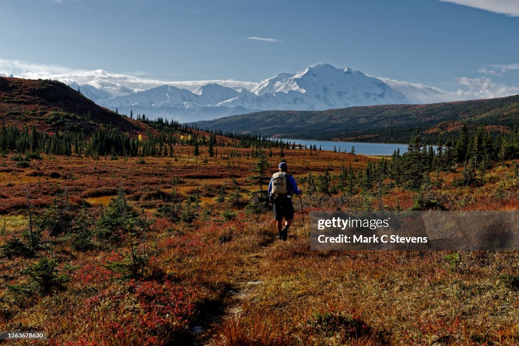 Hiker in wilderness.