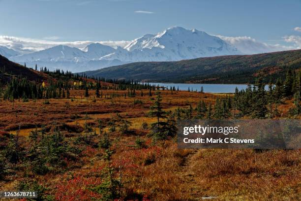 denali national park...providing mountain viewing experiences for a few million years! - denali national park stock pictures, royalty-free photos & images