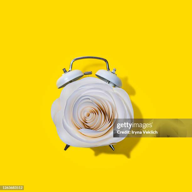 creative pattern made with paper rose flower and alarm clock on yellow color background. - white flower paper stock pictures, royalty-free photos & images