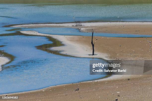 lakebed - arid stockfoto's en -beelden