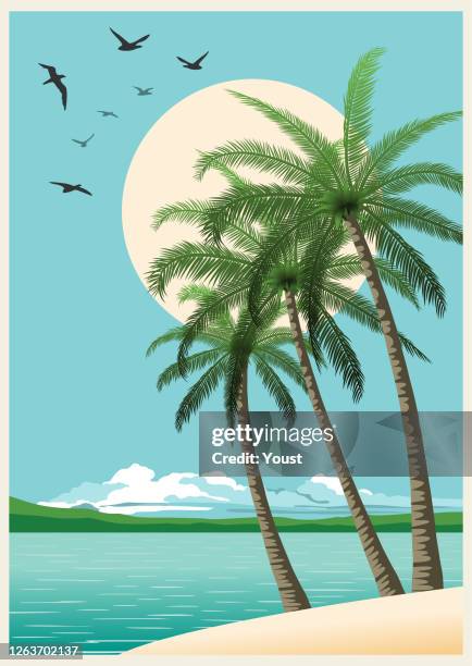summer tropical sunset with palm trees. retro background - vintage tropical bird stock illustrations