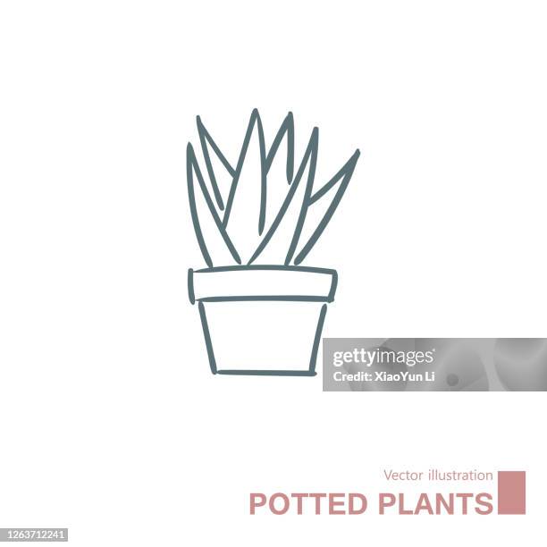 vector drawn potted plants. - agave stock illustrations