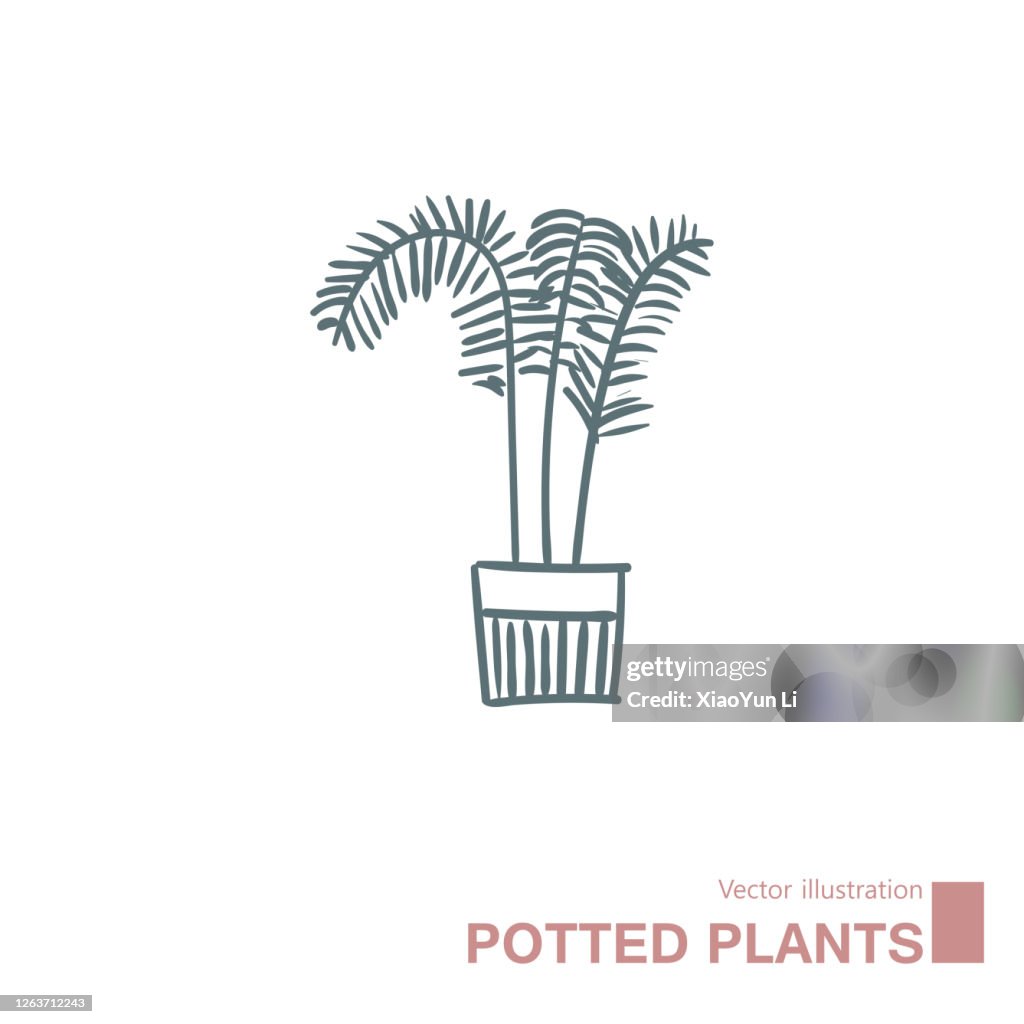 Vector drawn potted plants.