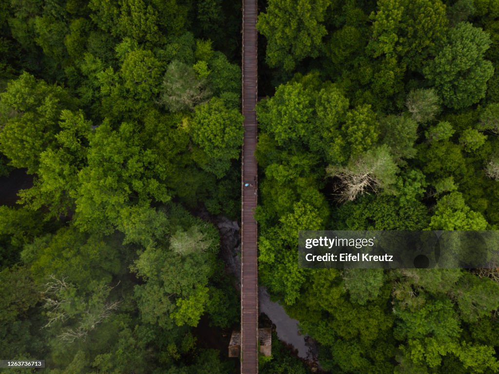 Aerial View of the Virginia Creeper Trail
