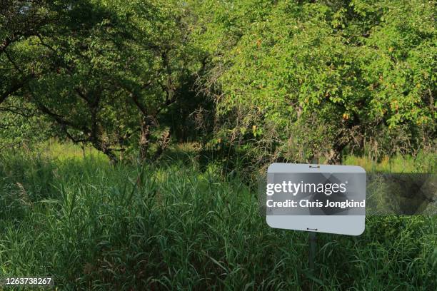blank white sign on post in foret - blank sign stock pictures, royalty-free photos & images
