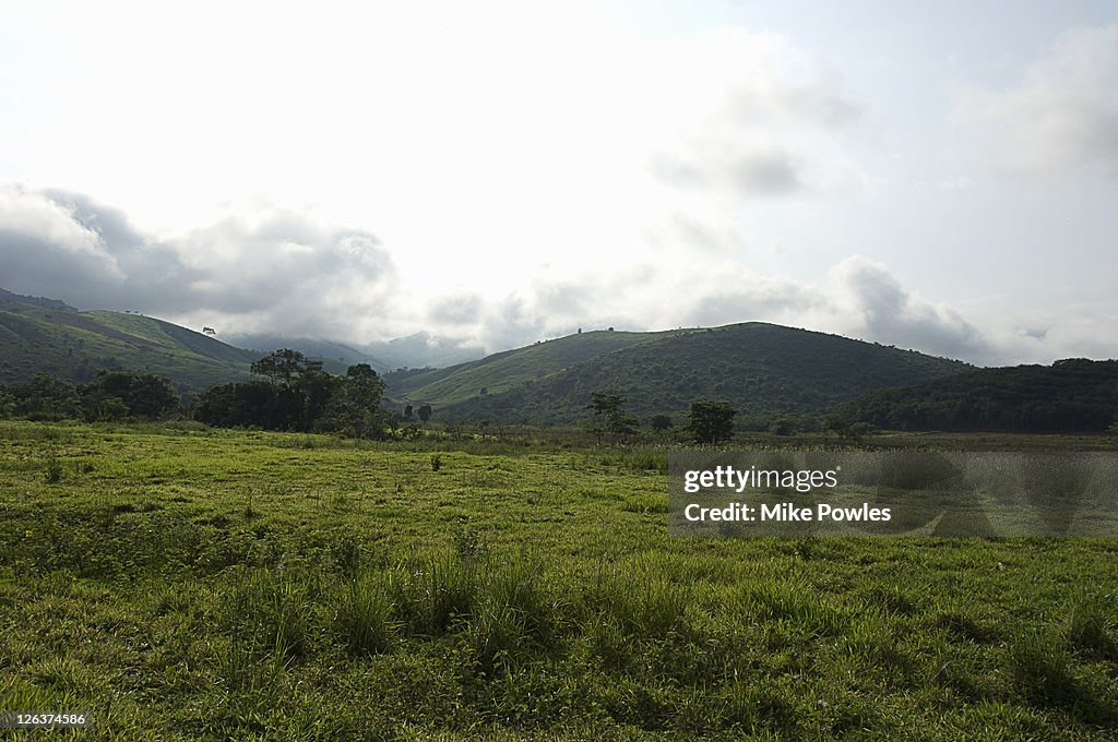 Atlantic forest, Caraca Natural Park, Brazil