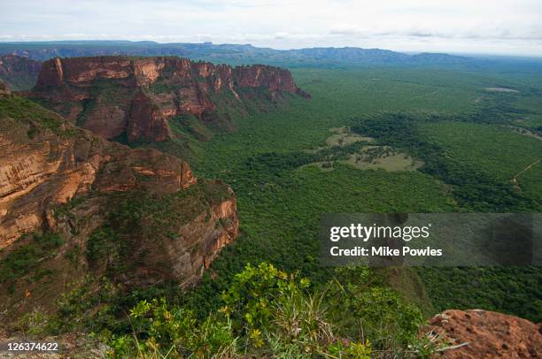 chapada dos guimaraes, brazil - chapada dos guimaraes fotografías e imágenes de stock