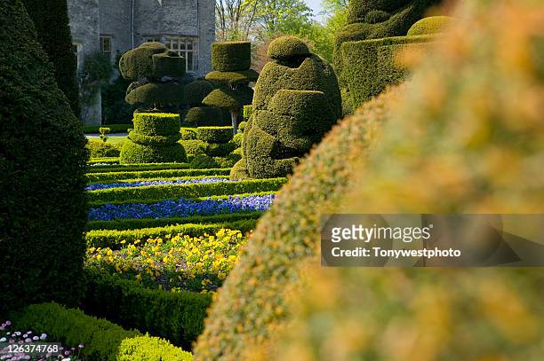 the topiary gardens of historic levens hall, milnthorpe, near kendal in cumbria - levens hall stock pictures, royalty-free photos & images