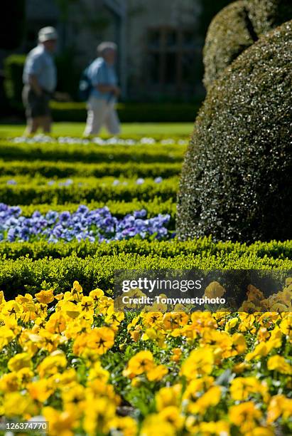 people enjoying a sunny day in the topiary gardens of historic levens hall, milnthorpe, near kendal in cumbria - levens hall stock pictures, royalty-free photos & images