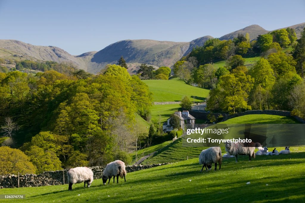 Spring in Troutbeck Valley with the Kentmere Fells beyond, in the scenic Lake District