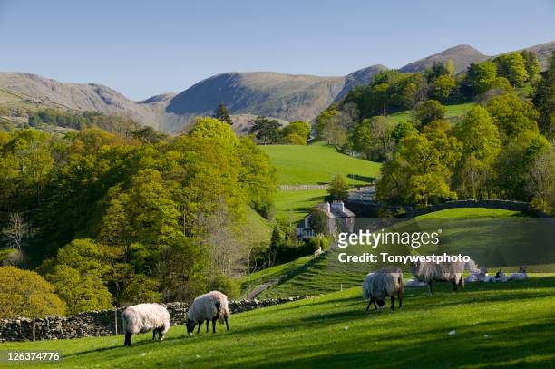 spring in troutbeck valley with the kentmere fells beyond, in the scenic lake district - rural england stock pictures, royalty-free photos & images