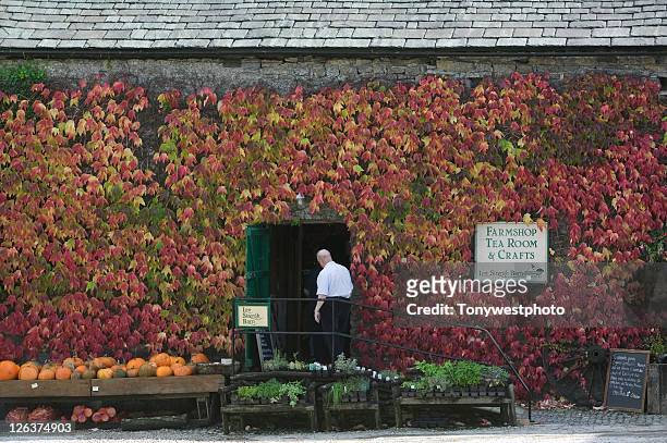 man visiting low sizergh barn. - kendal stock pictures, royalty-free photos & images