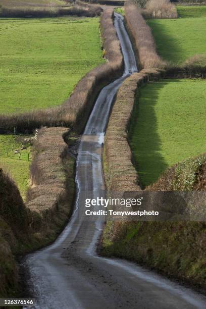 rural lane in countryside, uk - satnav photos et images de collection
