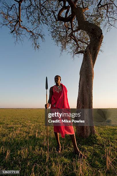masai warrior holding spear, masai mara, kenya - masai mara national reserve stock pictures, royalty-free photos & images
