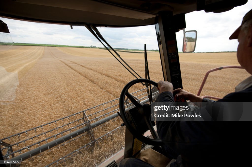 Interior view of combine harvester cab on British farm during harvest of Maris Otter barley, Norfolk, UK