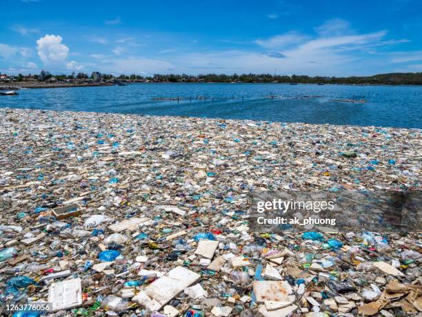 trash on lake - inquinamento causato dalla plastica foto e immagini stock