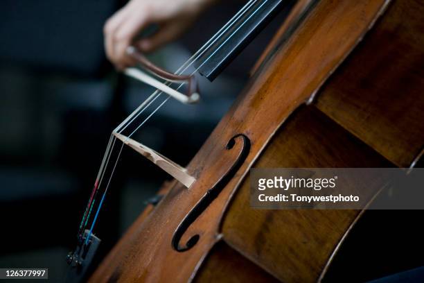 detail of cello - saiteninstrument stock-fotos und bilder