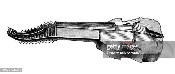 old engraved illustration of the baryton - bowed string instrument - musical symbols stock pictures, royalty-free photos & images
