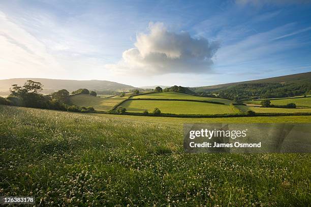 meadows on the holnicote estate in the exmoor national park on a summer's day in somerset. - somerset england stock-fotos und bilder
