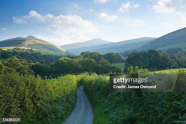 looking down a country lane leading to pen-y-fan in the brecon beacons national park. - brecon beacons national park stock pictures, royalty-free photos & images