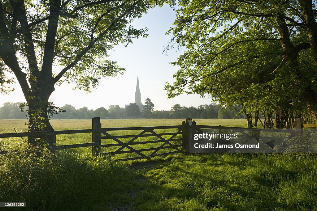 Idyllic view of Salisbury Cathedral spire from across Harnham Water Meadows