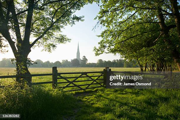 idyllic view of salisbury cathedral spire from across harnham water meadows - försummad mark bildbanksfoton och bilder