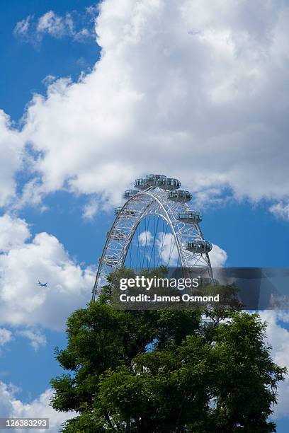 looking up at the london eye, partially obscured by a leafy green tree, against a blue sky with fluffy white clouds - ba stock pictures, royalty-free photos & images