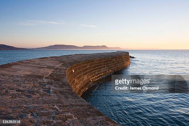 the cob at lyme regis. dorset. england. looking along the cob at sunrise, the higher outer part of the wall keeps the worst of the weather off those walking along it while on good days you can walk along the top for a better view. - lyme regis photos et images de collection