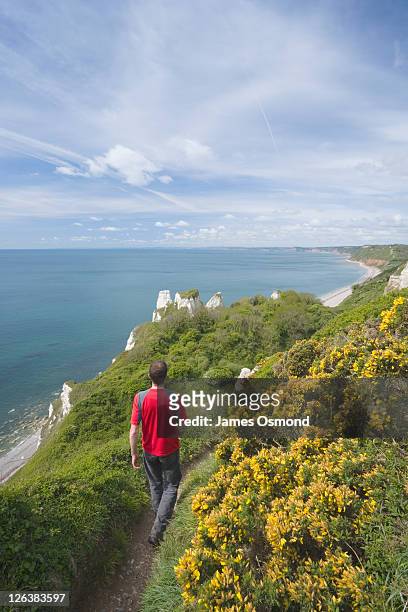 caucasian male (29 years old) walker on the south west coast path at hooken cliff heading towards branscombe. devon. england. uk. - south west coast path fotografías e imágenes de stock