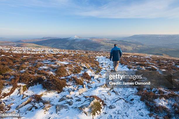 caucasian male walker (29 years old) descending pen cerrig-calch in the black mountains with view towards sugarloaf. brecon beacons national park. powys. wales. uk. - brecon beacons stock-fotos und bilder